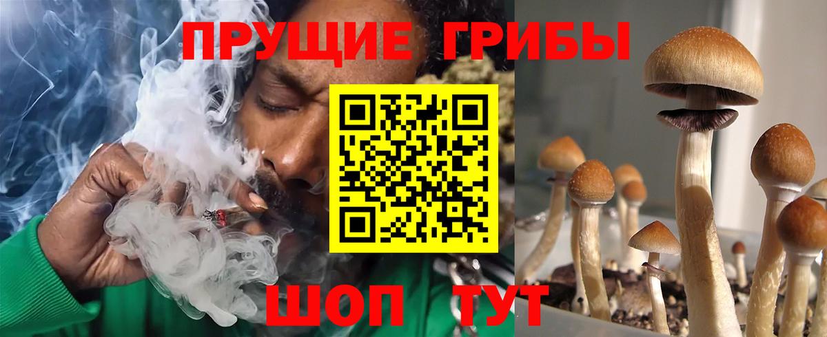 Галлюциногенные грибы мухоморы  Галлюциногенные грибы прущие грибы  Вход с VPN  Жигулёвск 